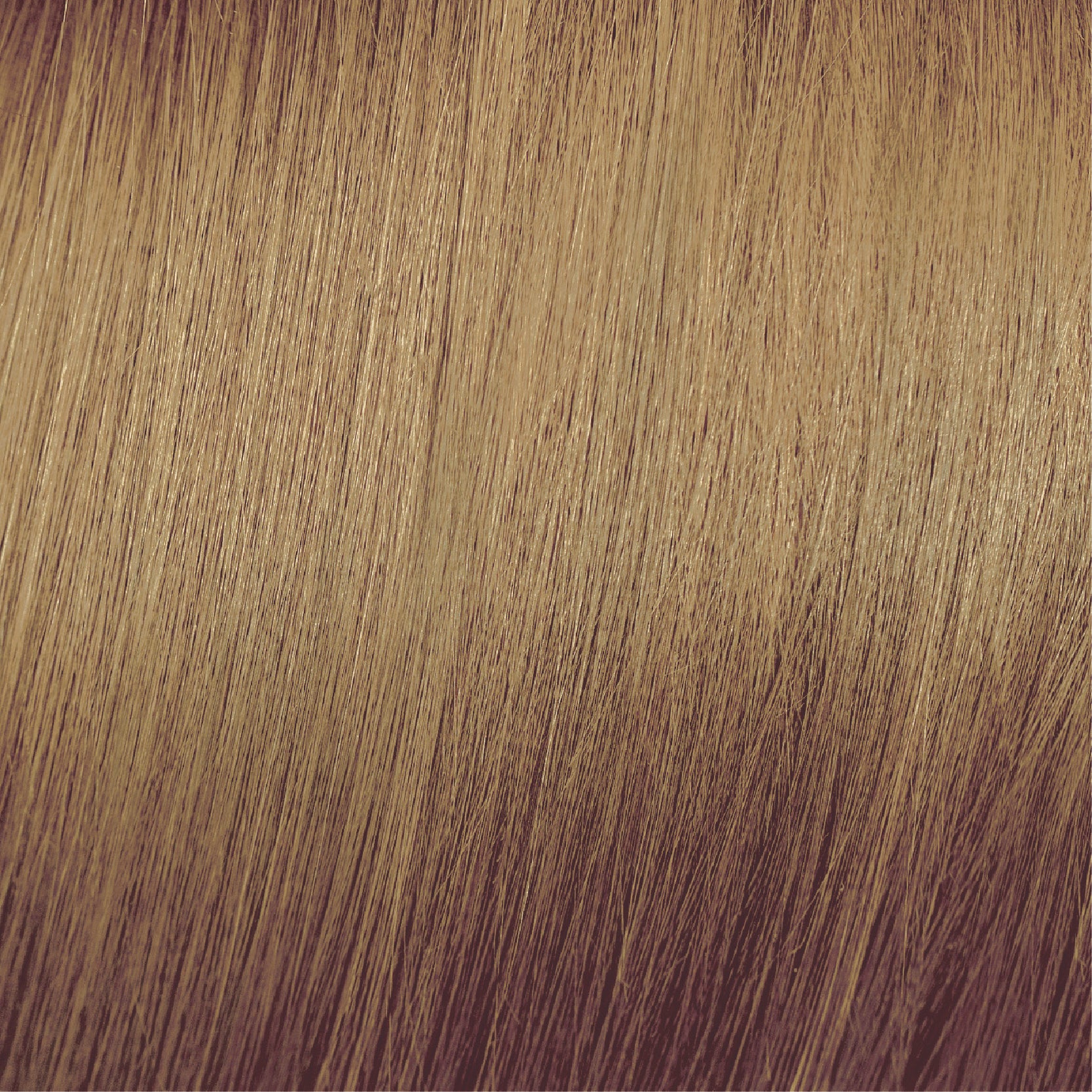 Moda & Styling Colors