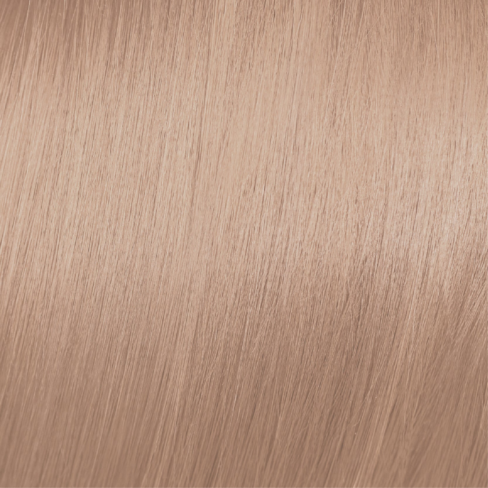 Moda & Styling Colors