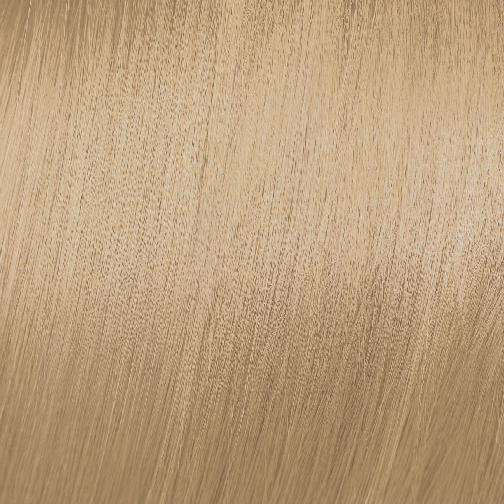 Moda & Styling Colors