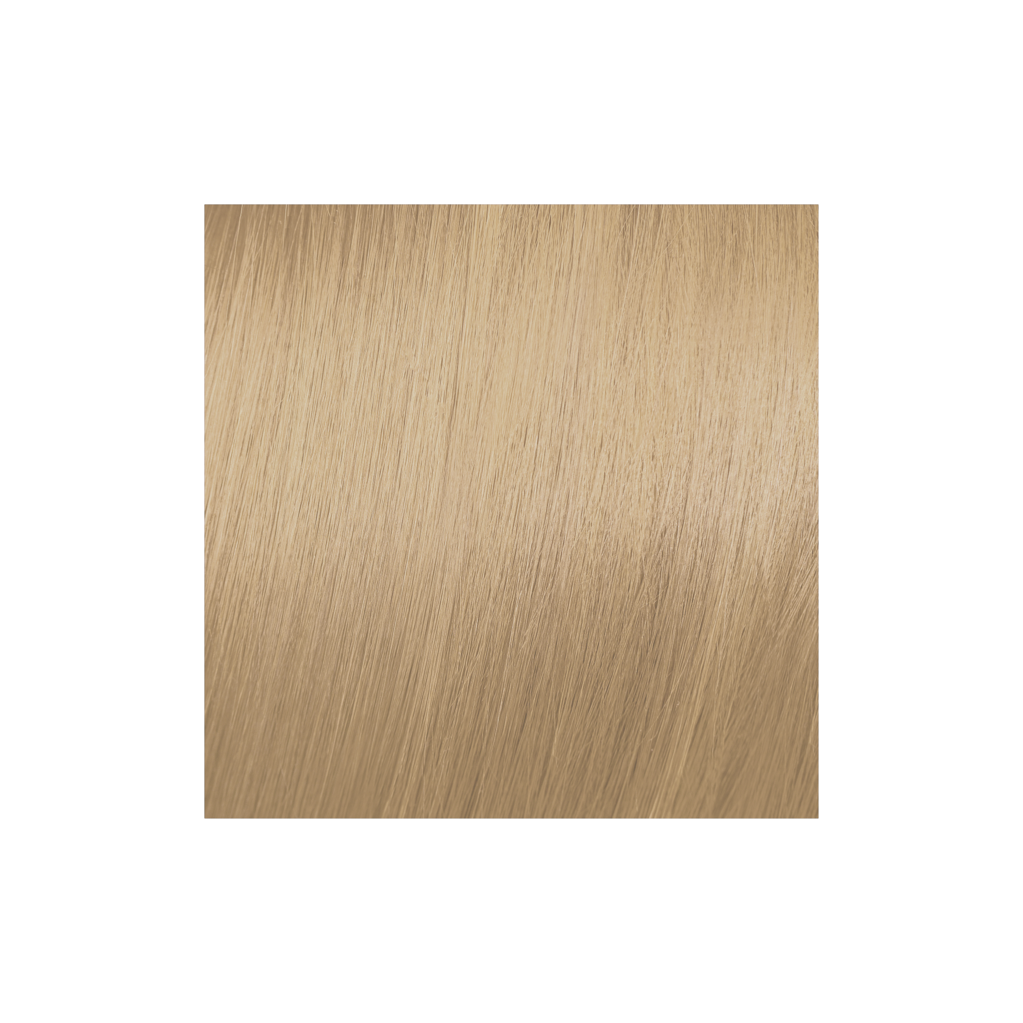 Moda & Styling Colors