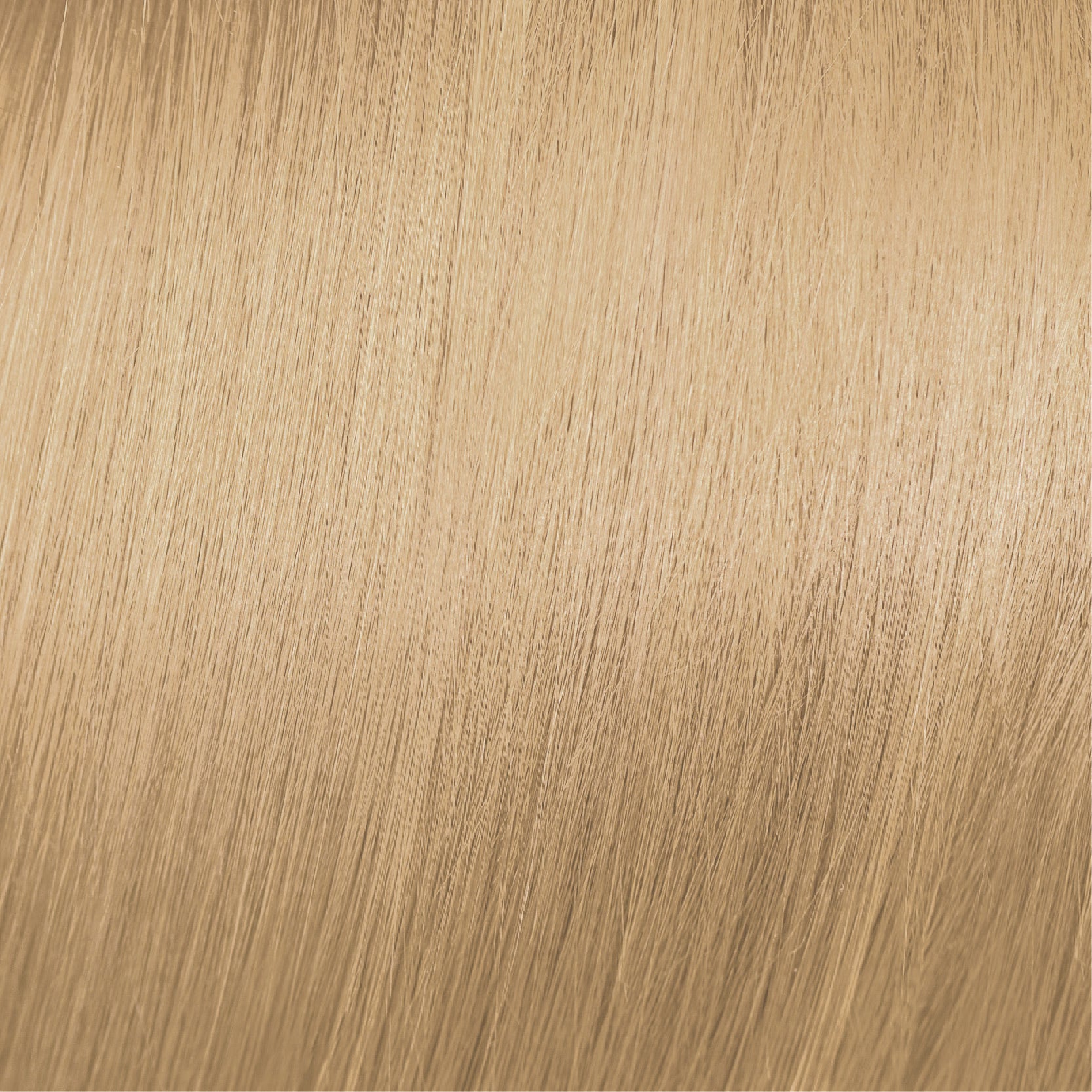 Moda & Styling Colors