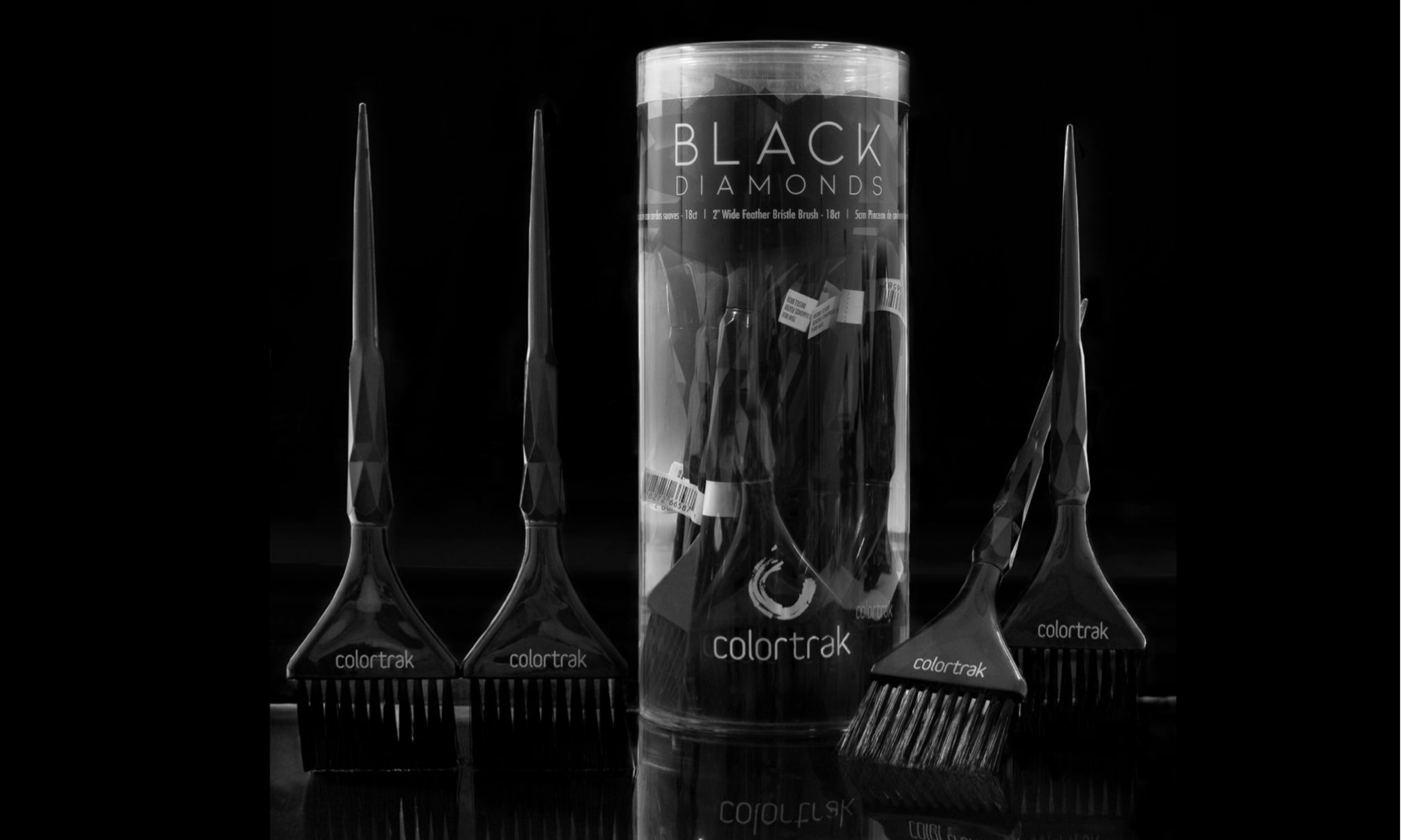 Black Diamond 2PK Brushes