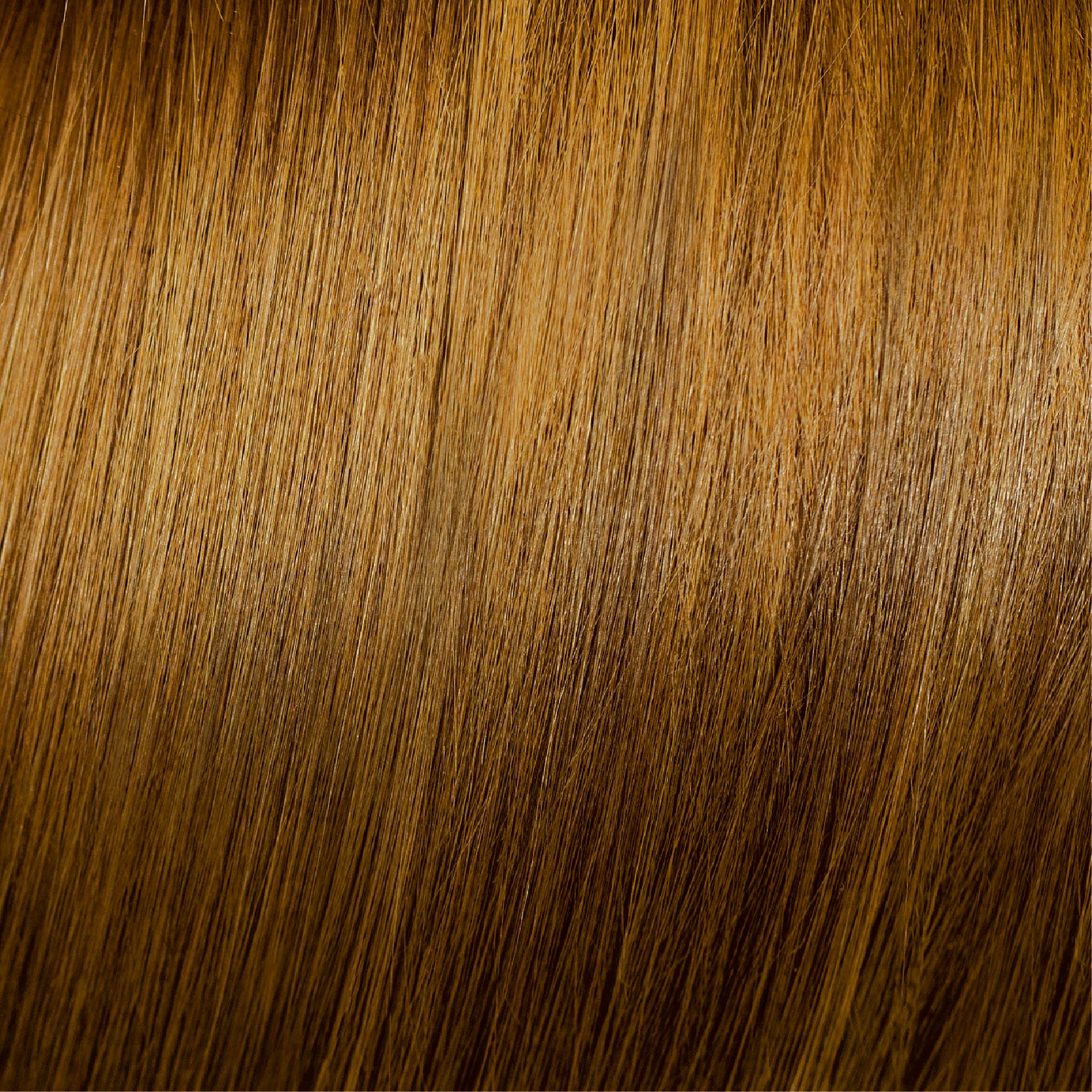 Moda & Styling Colors