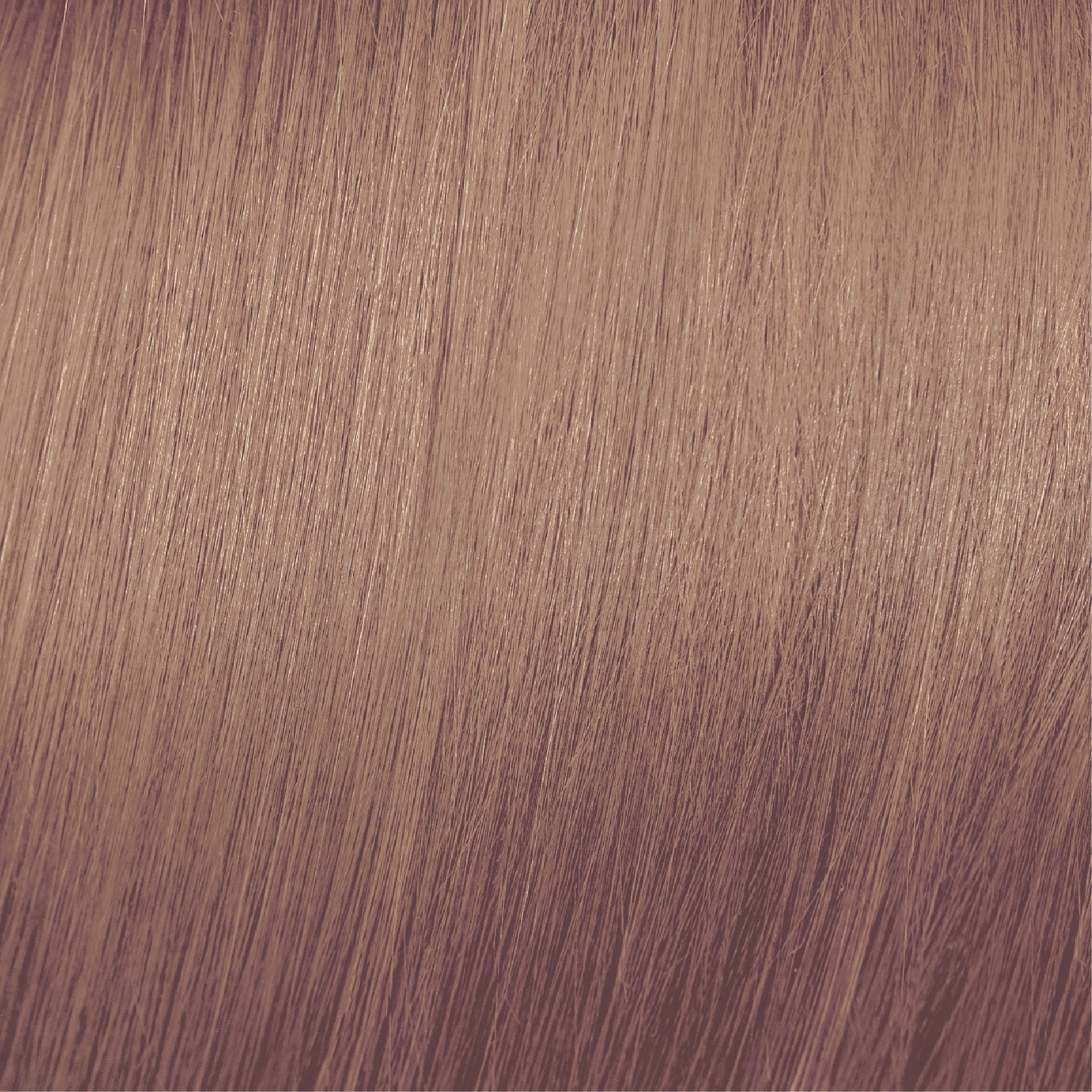 Moda & Styling Colors