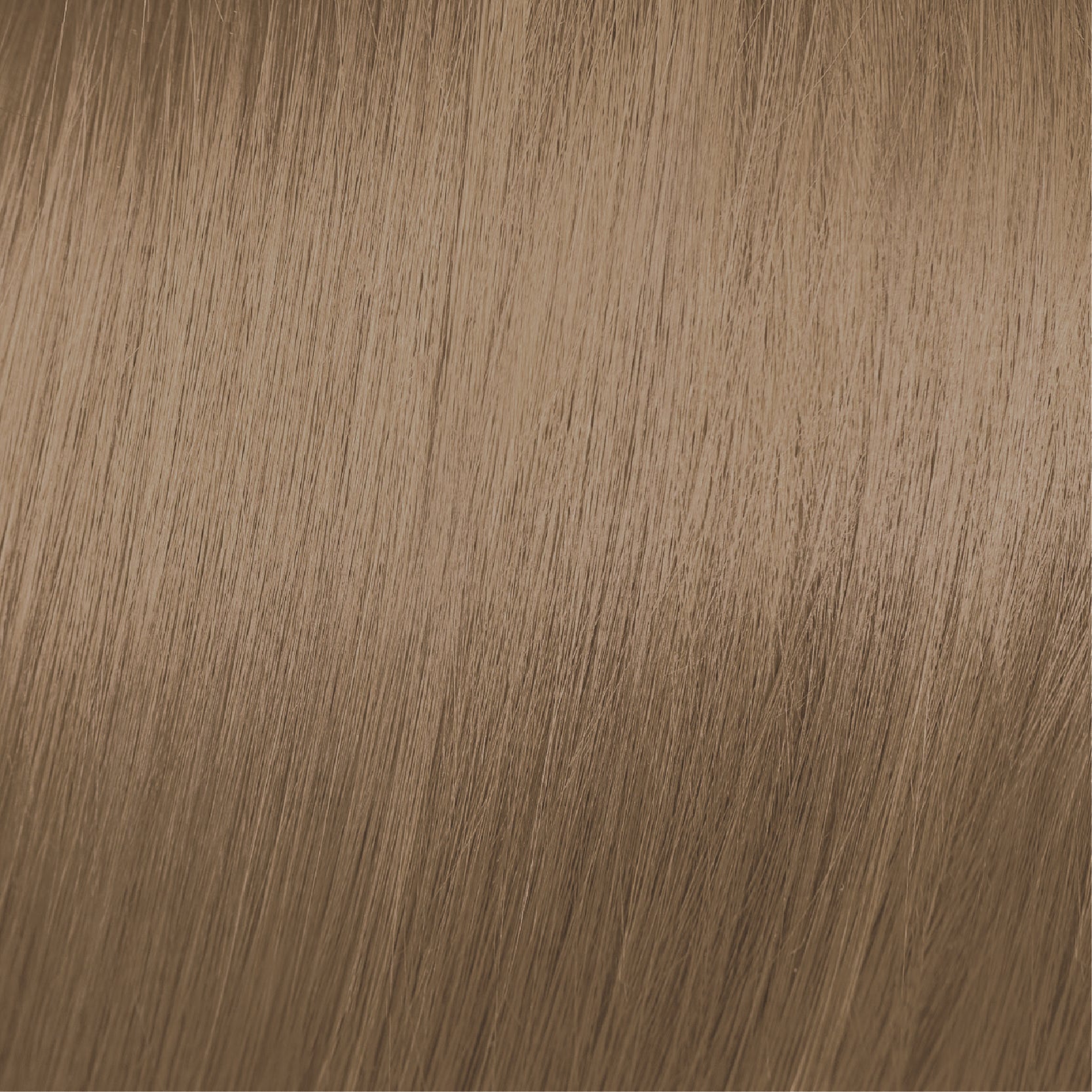 Moda & Styling Colors
