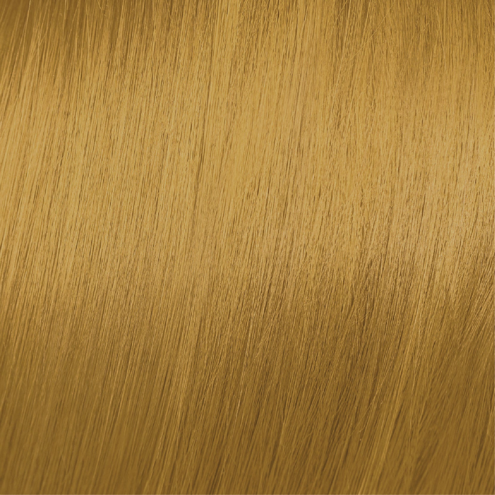 Moda & Styling Colors