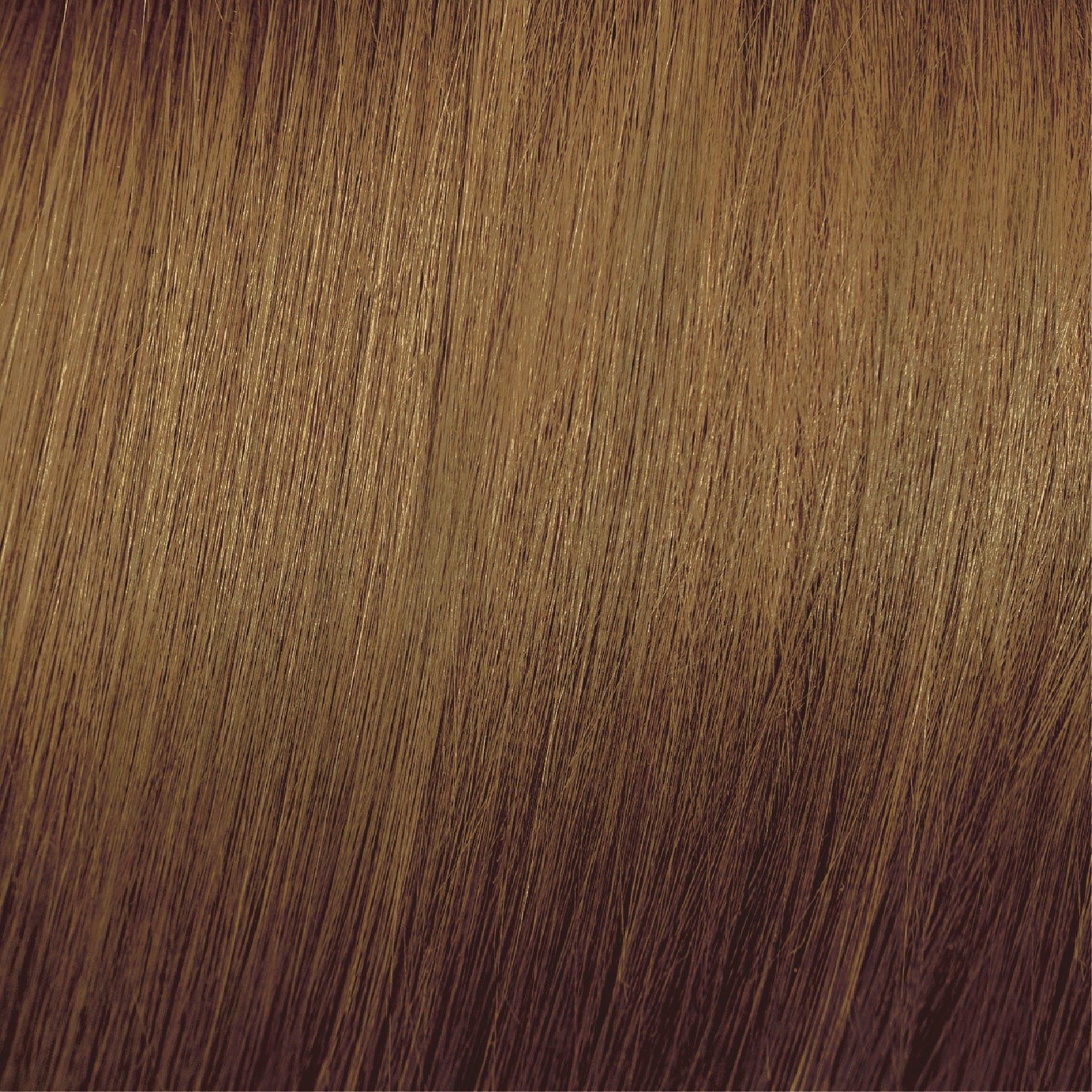 Moda & Styling Colors