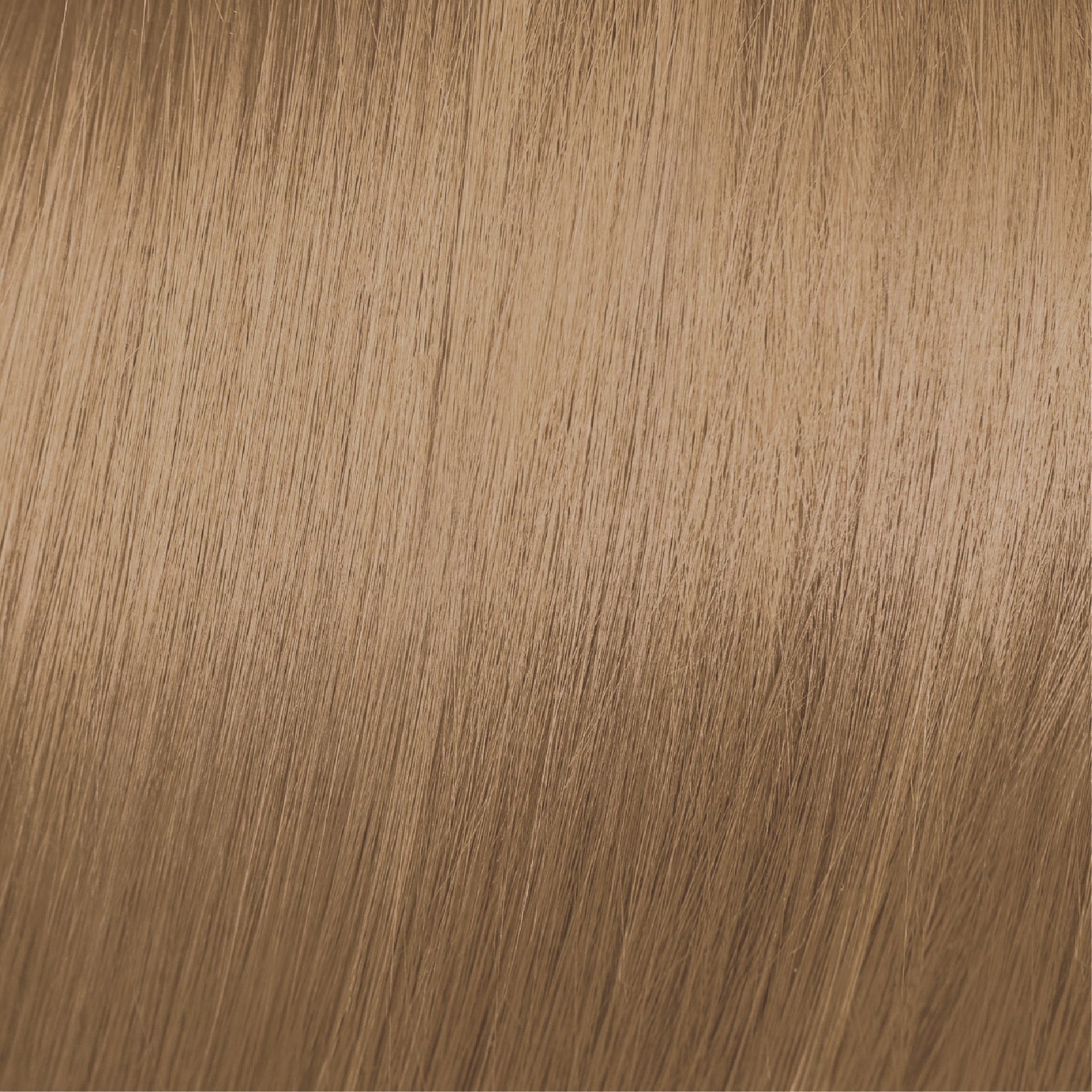 Moda & Styling Colors