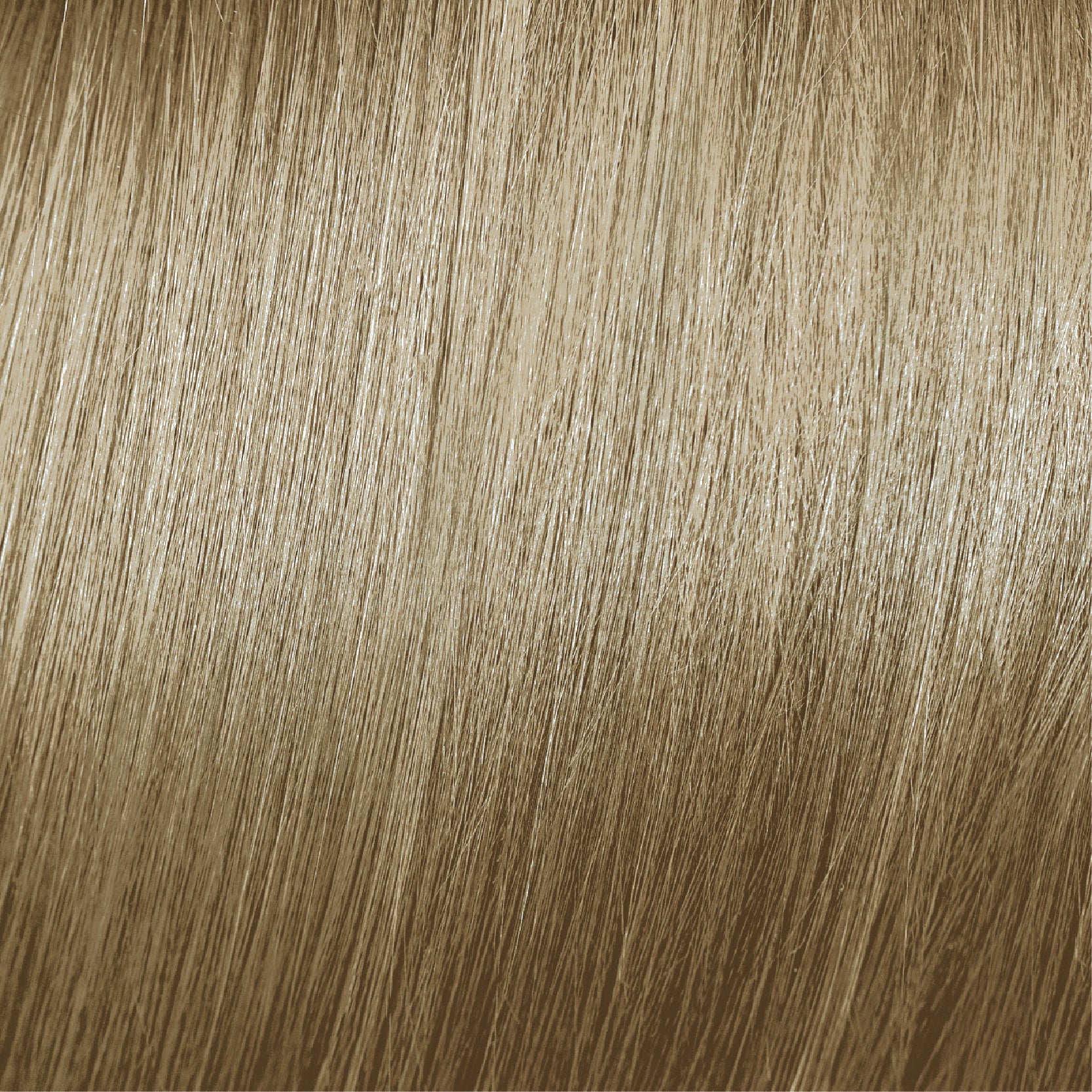 Moda & Styling Colors