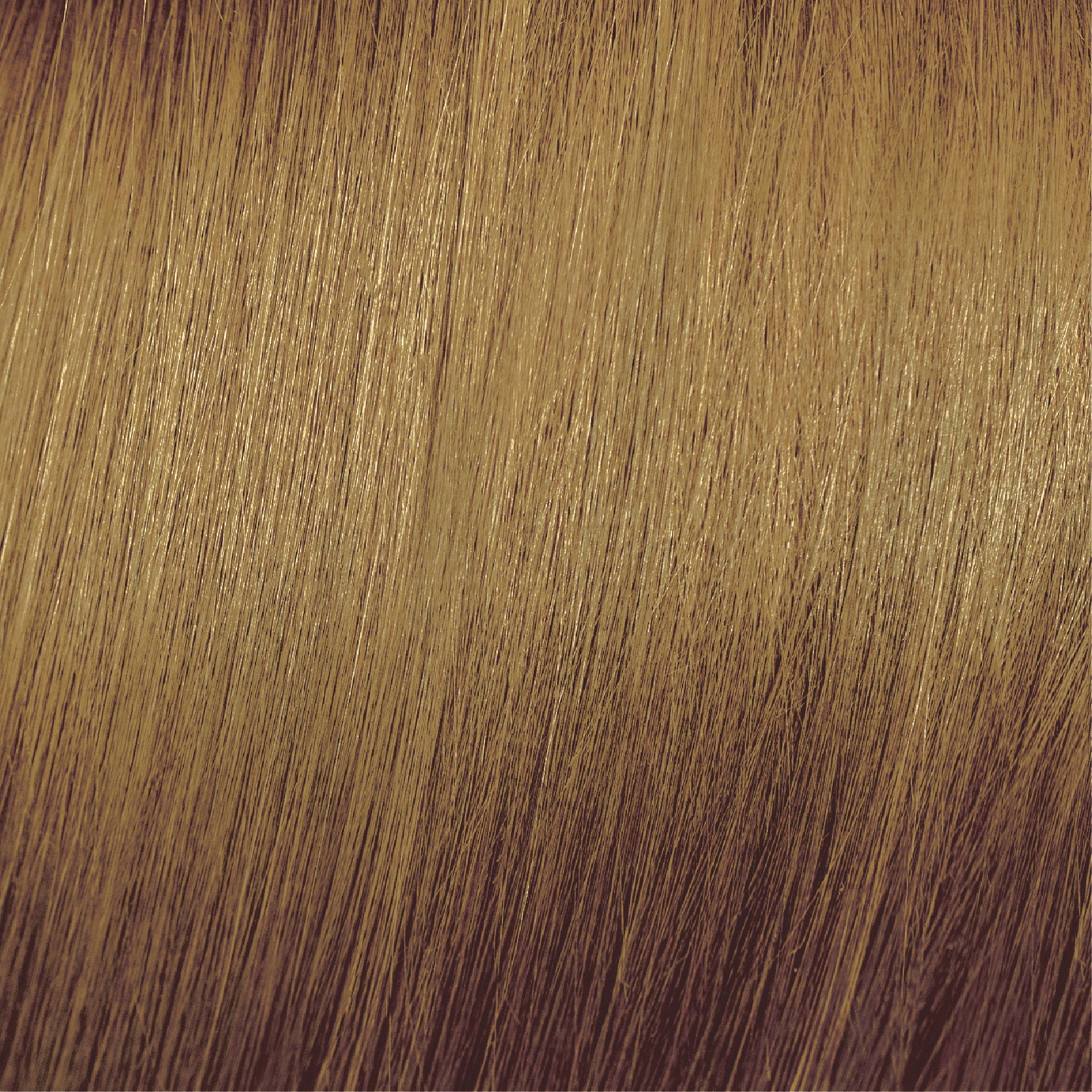 Moda & Styling Colors